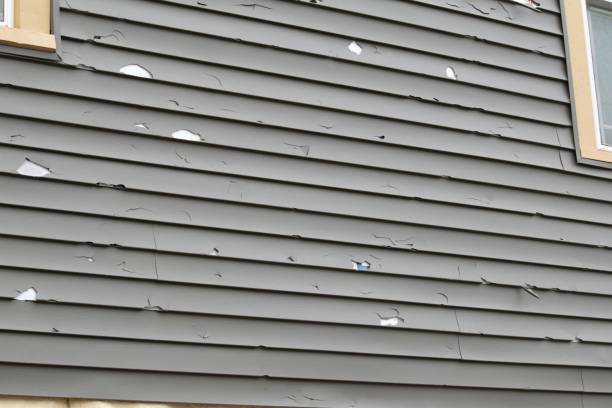 Best Custom Trim and Detailing for Siding  in Rancho Santa Margarita, CA